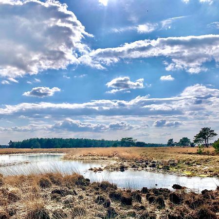 Veluwse Wolf: Natuurlijk Genieten! Otterlo Luaran gambar